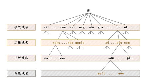 计算机网络技术发展新篇章 软件与网络应用技术的融合开发